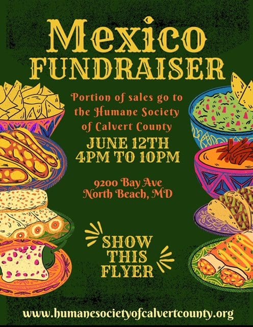 Mexican fundraiser for humane society.