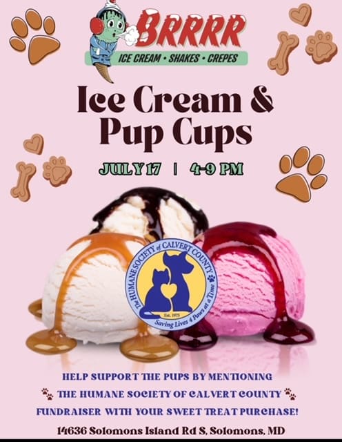 Ice cream & pup cups fundraiser for animal shelter.