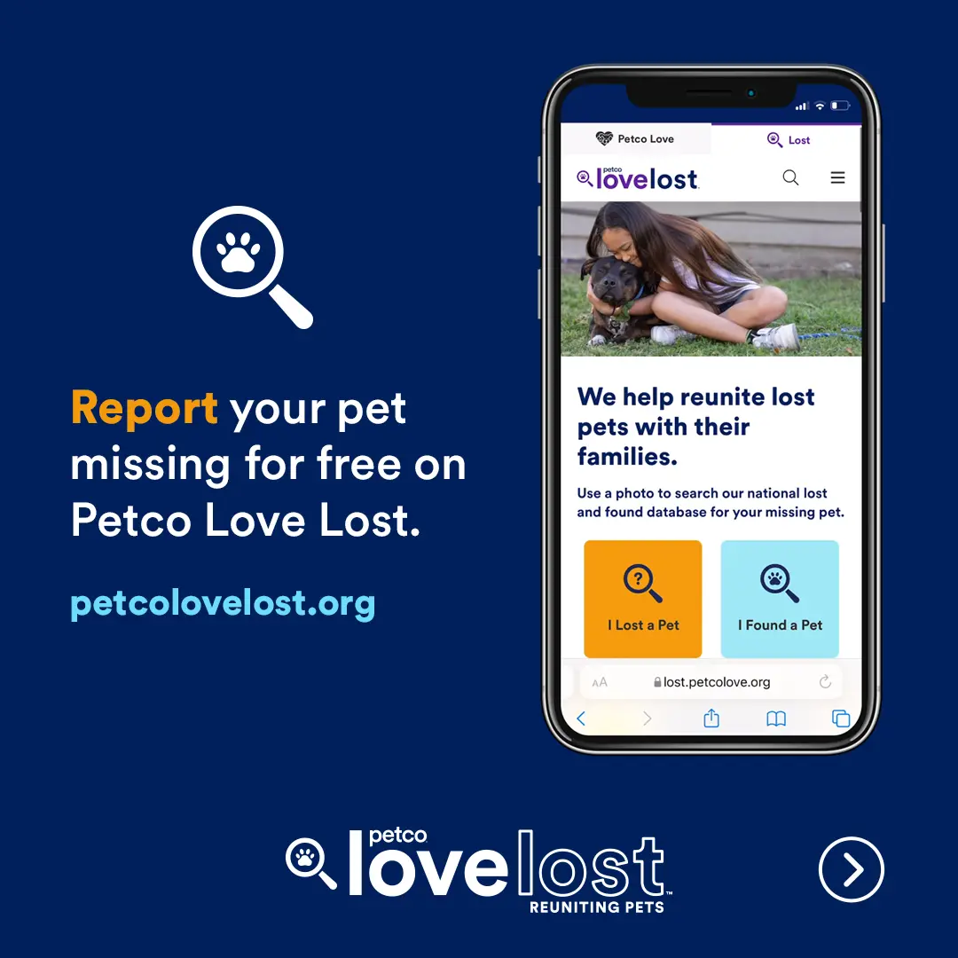 https://humanesocietyofcalvertcounty.org/wp-content/uploads/2024/08/petco-love.webp