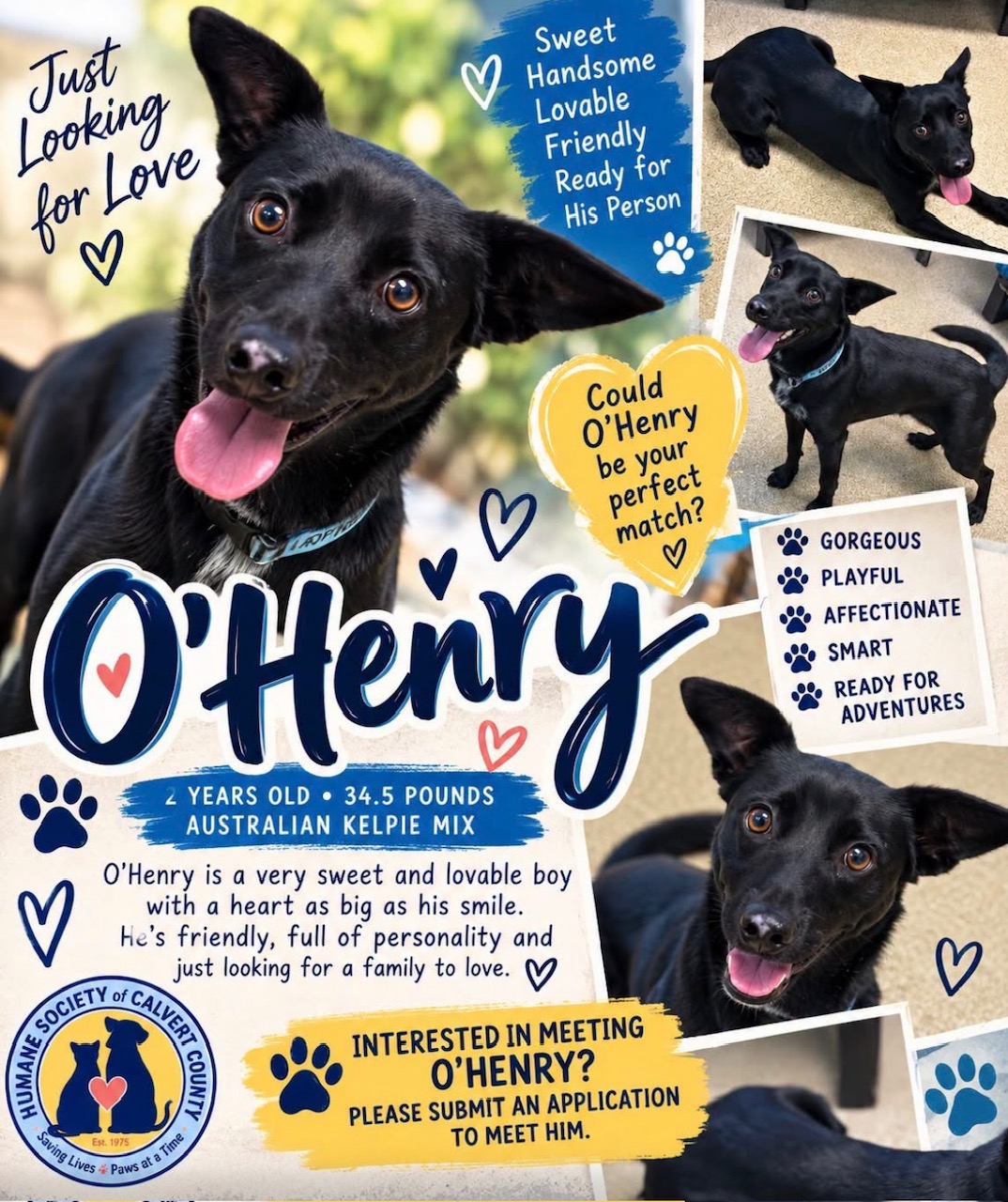 O’Henry