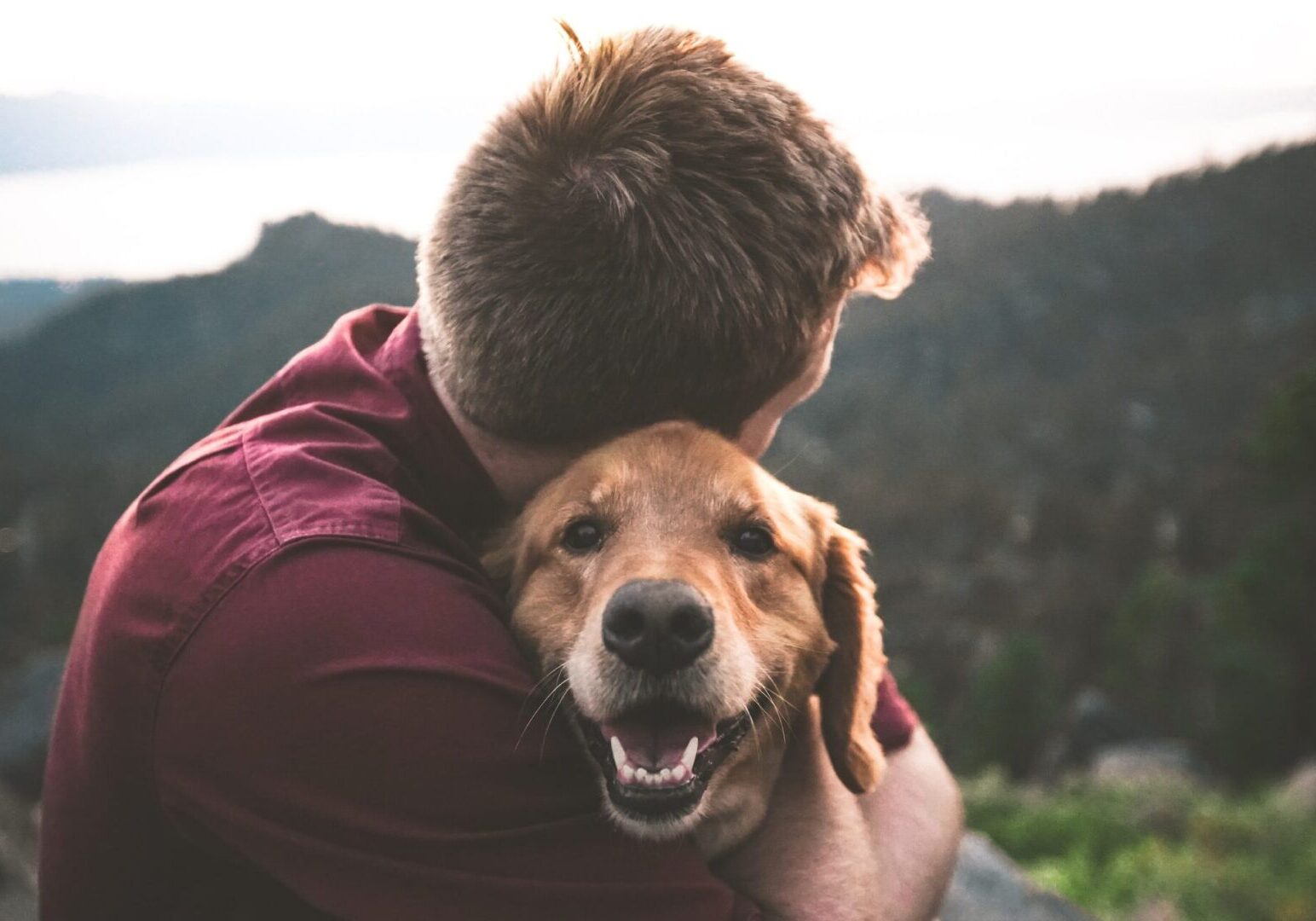 A man hugging his dog on top of a mountain.